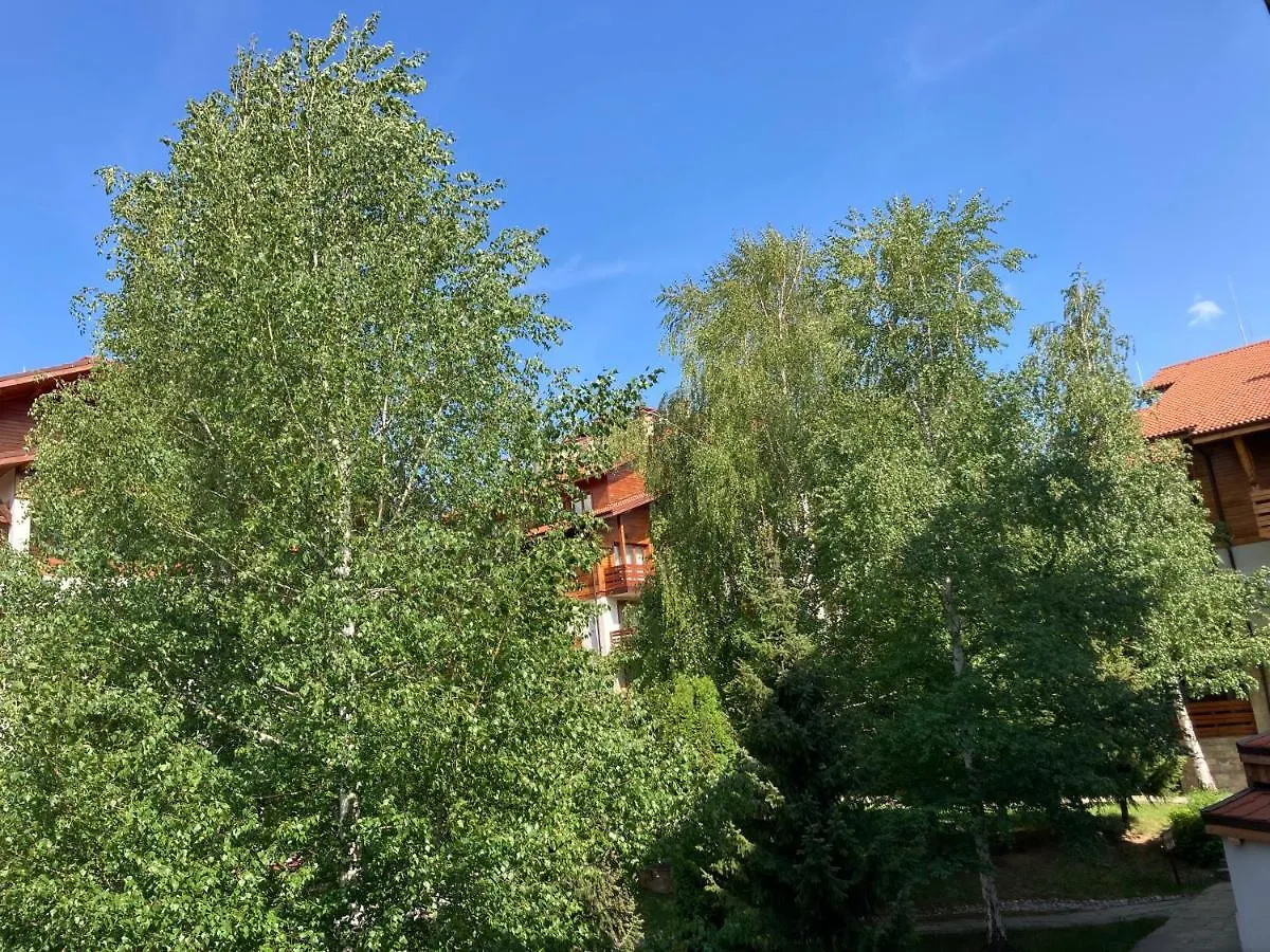 Bright & Lovely Apartment In Bansko With Free Spa And Garage